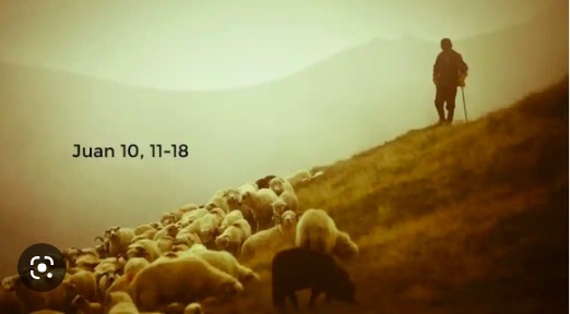 PASATIEMPOS RELIGIOSOS -PALABRAS CRUZADAS  de Juan 10  11-18