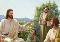 PASATIEMPOS RELIGIOSOS - PALABRAS CRUZADAS de Mateo 13  11-13