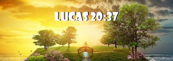 PASATIEMPOS RELIGIOSOS - SOPA DE LETRAS de Lucas 20 - 37