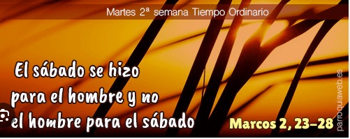 PASATIEMPOS RELIGIOSOS - OVEJAS PERDIDAS de Marcos 2  23-28