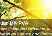 PASATIEMPOS RELIGIOSOS - SOPA DE LETRAS de Juam 1  43-45