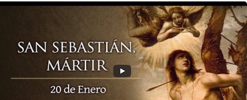 SAN SEBASTIÁN - Ovejas perdidas del 20 de enero