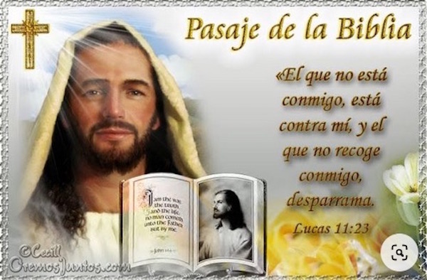 PASATIEMPOS RELIGIOSOS - OVEJAS PERDIDAS de Lucas 11 21-23