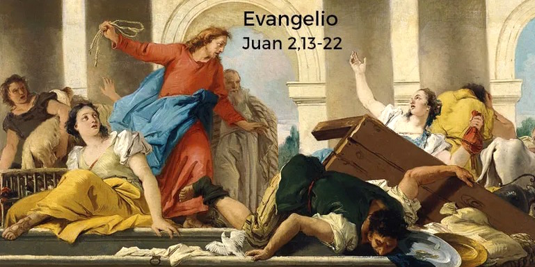 PALABRAS DEL PAPA FRANCISCO día 9 de noviembre
