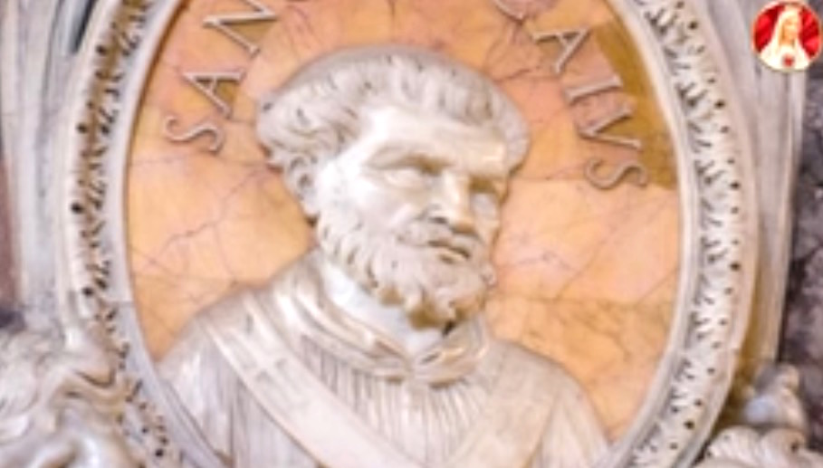 SAN CAYO papa