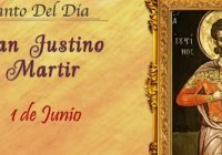 vídeo del santo