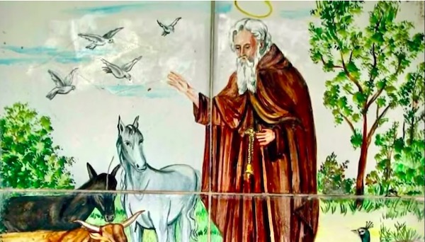 SAN ANTONIO ABAD