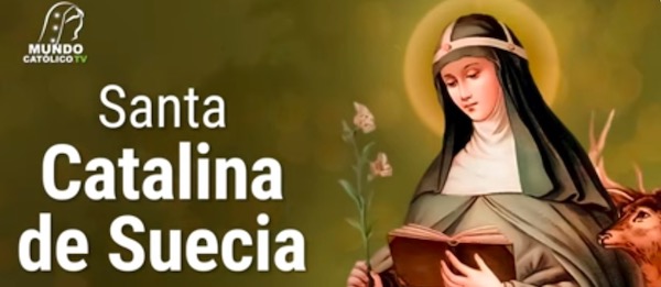 PASATIEMPOS RELIGIOSOS - LAS OVEJAS PERDIDAS de Santa Catalina de Suecia