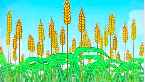 PASATIEMPOS RELIGIOSOS - SOPA DE LETRAS de la piedra angular