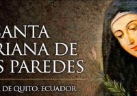 del vídeo